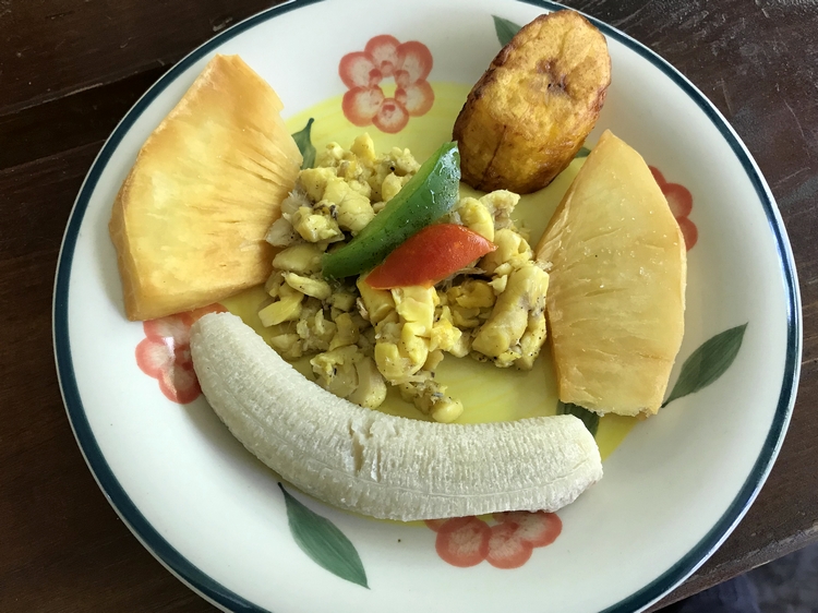 jamaica_sunvalley_fruit