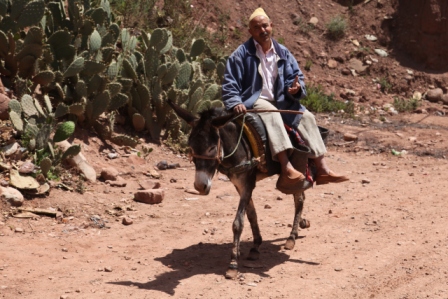 Marokkaanse man op ezel