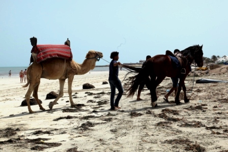Puur op reis: strand Djerba, Tunesië