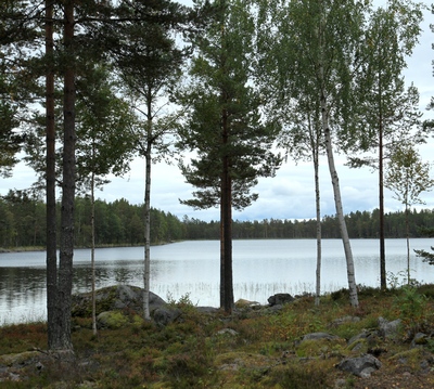 Puur op reis: meer in het midden van Zweden