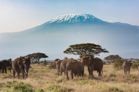 Kilimanjaro-Shutterstock-PRMatoketours